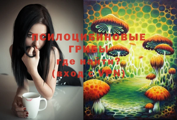 стафф Беломорск