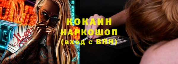 твердый Сосновый Бор