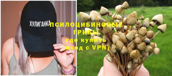 стафф Беломорск